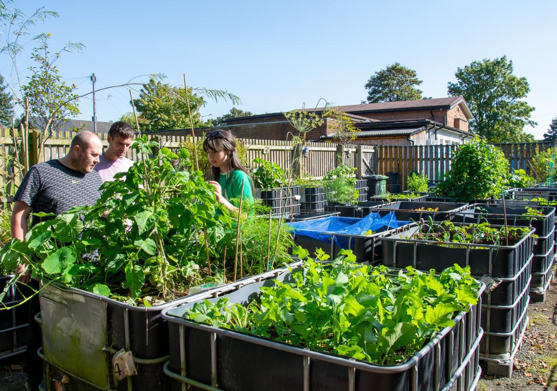 Using Green Social Prescribing To Improve Wellbeing in Brinnington, Stockport