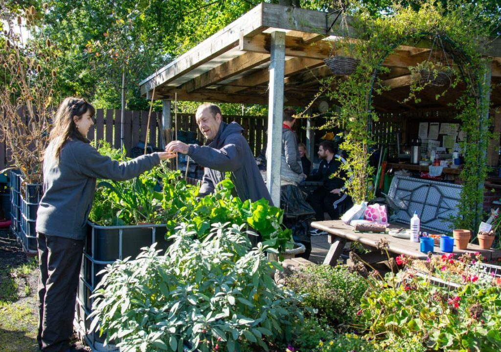 Adults planting during Green Social Prescribing session
