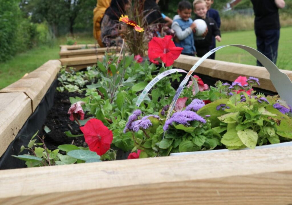 Planters in Stoneyfield park