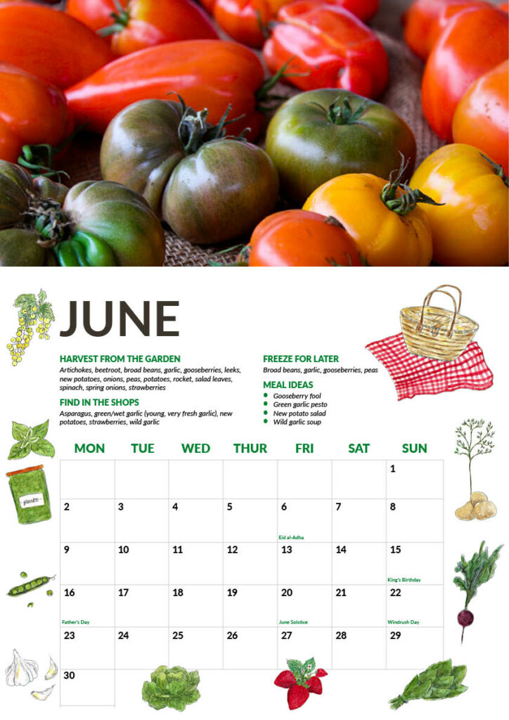 June page preview