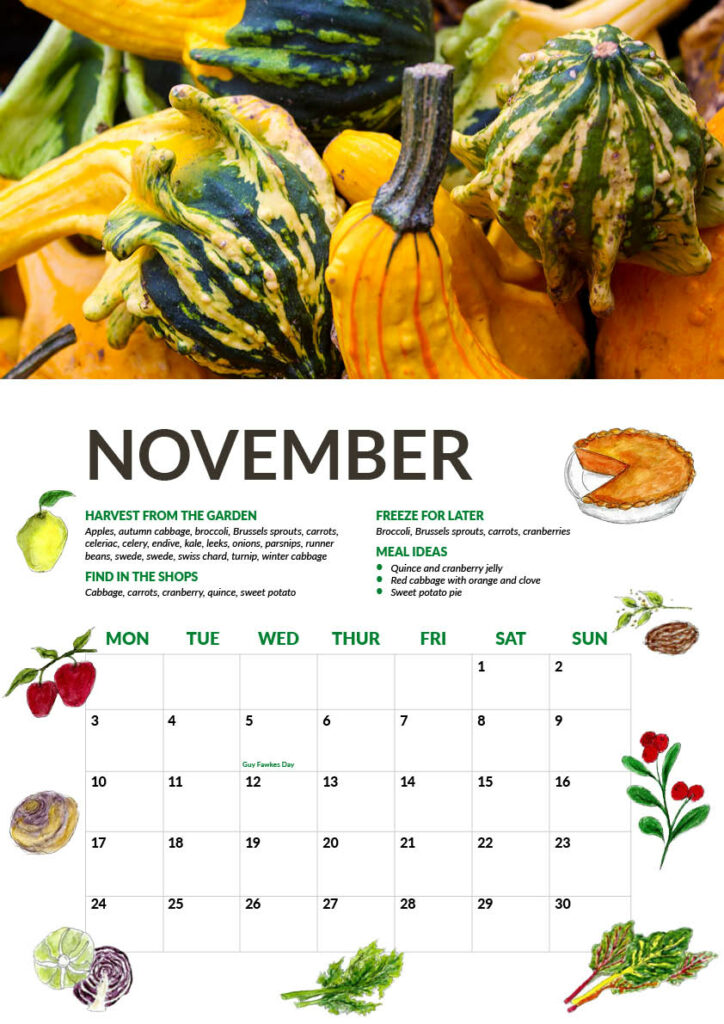 Nov page preview