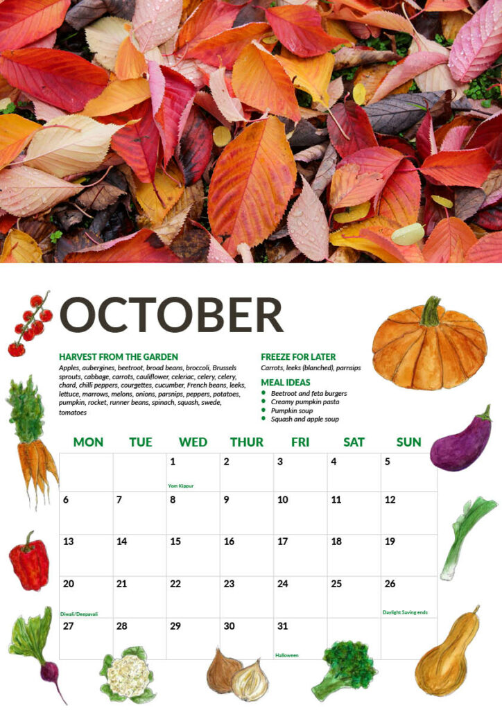 Oct page preview