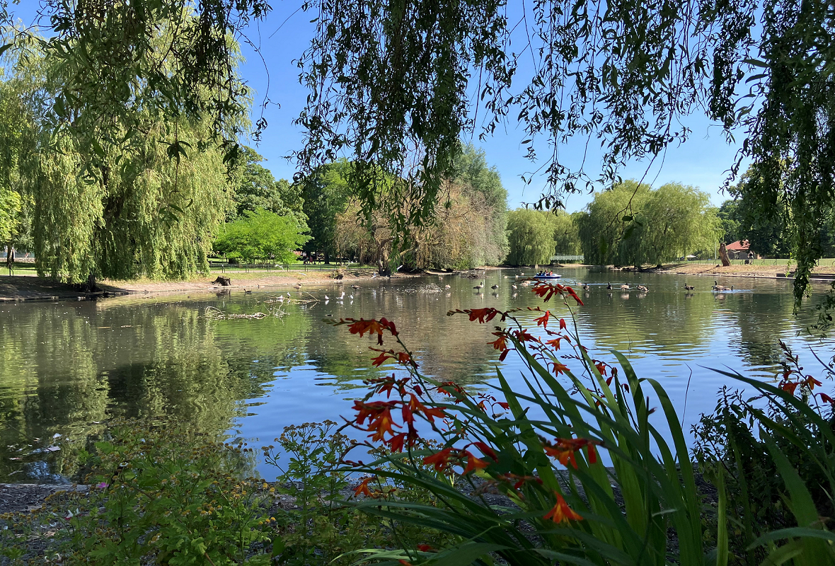 The River Lea conservation
