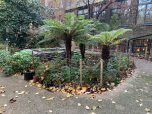 St Johns Garden 'After' Photo - Islington