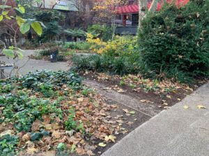St Johns Garden 'After' Photo - Islington