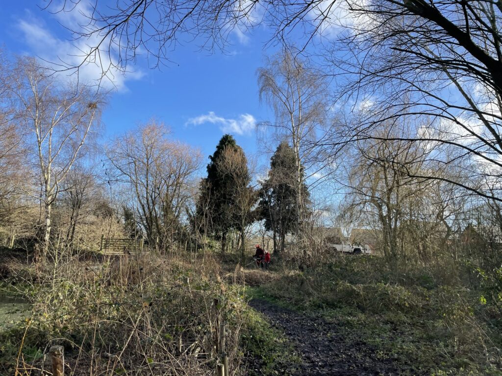 A path in between two trees