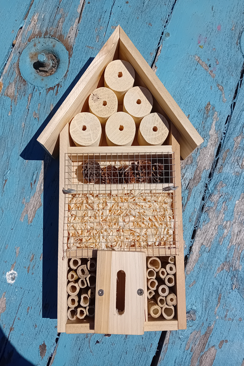 Home education provision - Groundwork