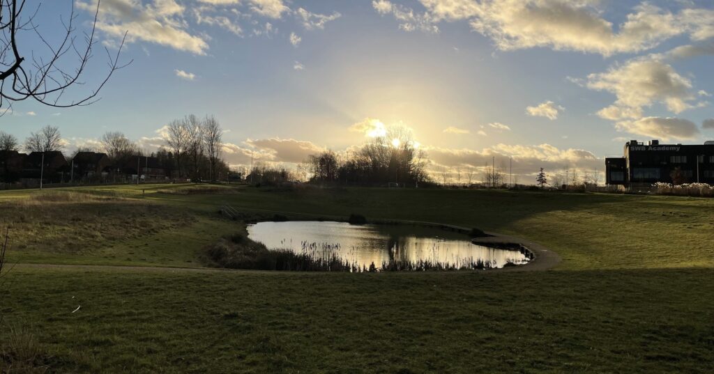 An image of the sun setting over the pond