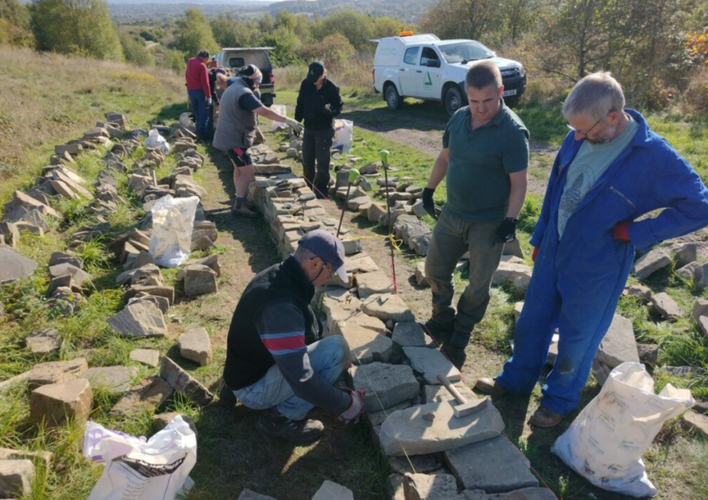 Volunteers building a stone wall