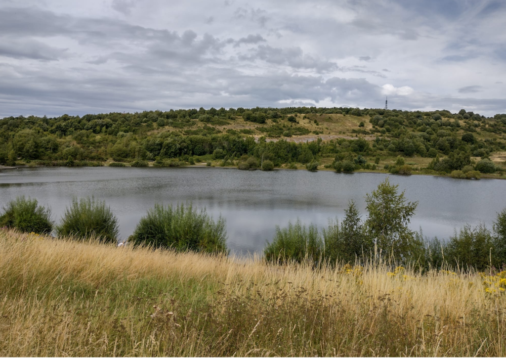 An image showing the view of Silverdale from a hill, including a view of the water