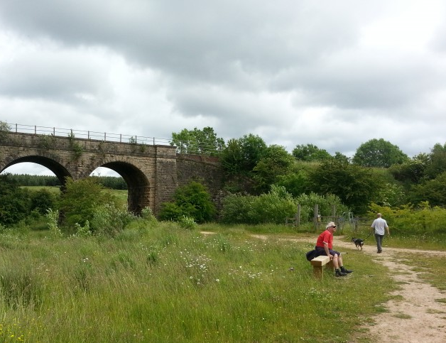 An image of a bridge going over a field of grass and trees 