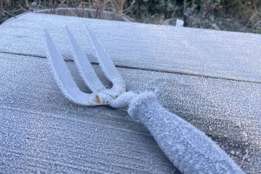 Gardening fork covered in frost