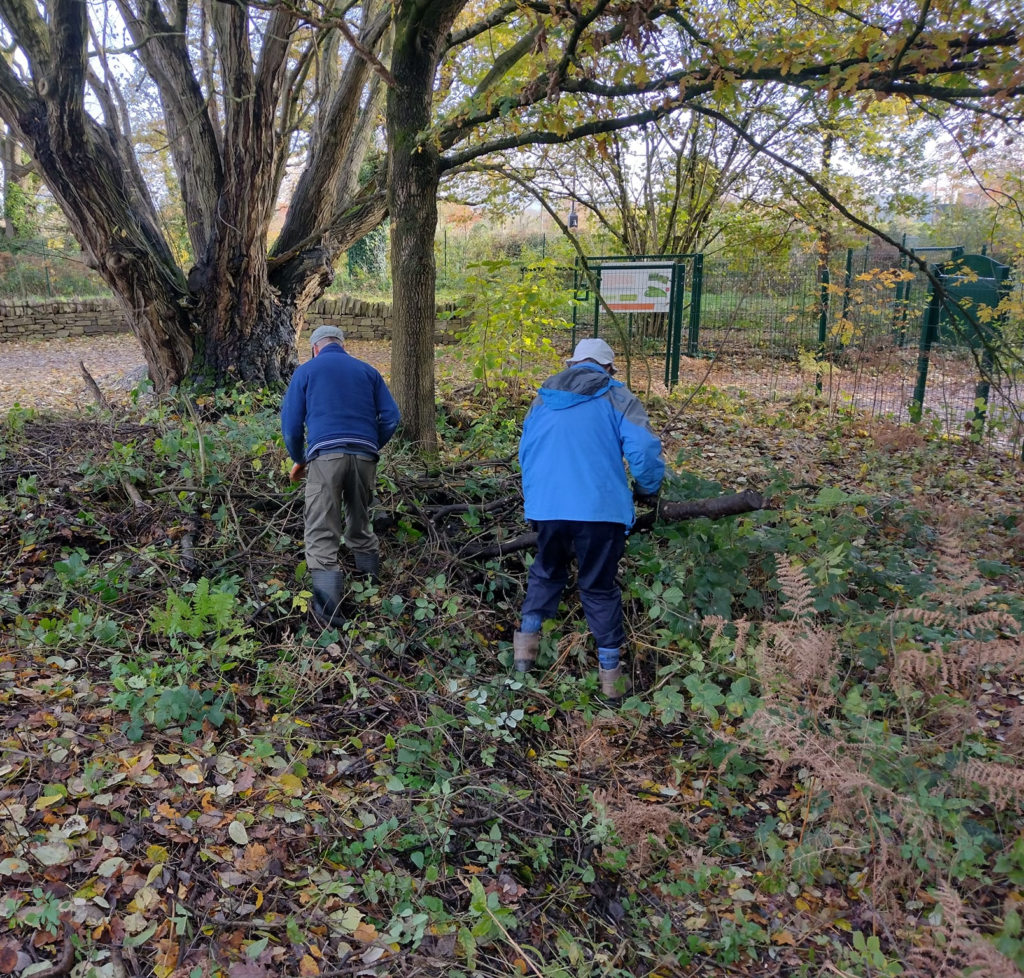 Volunteers helping to pick up rubbish