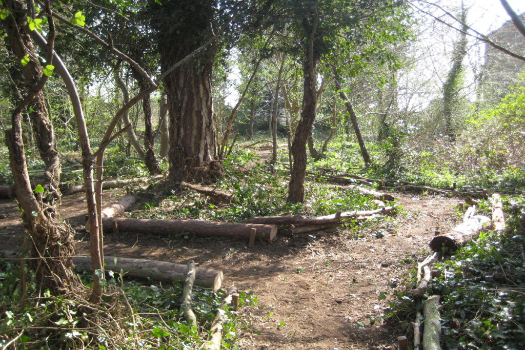 Woodland path