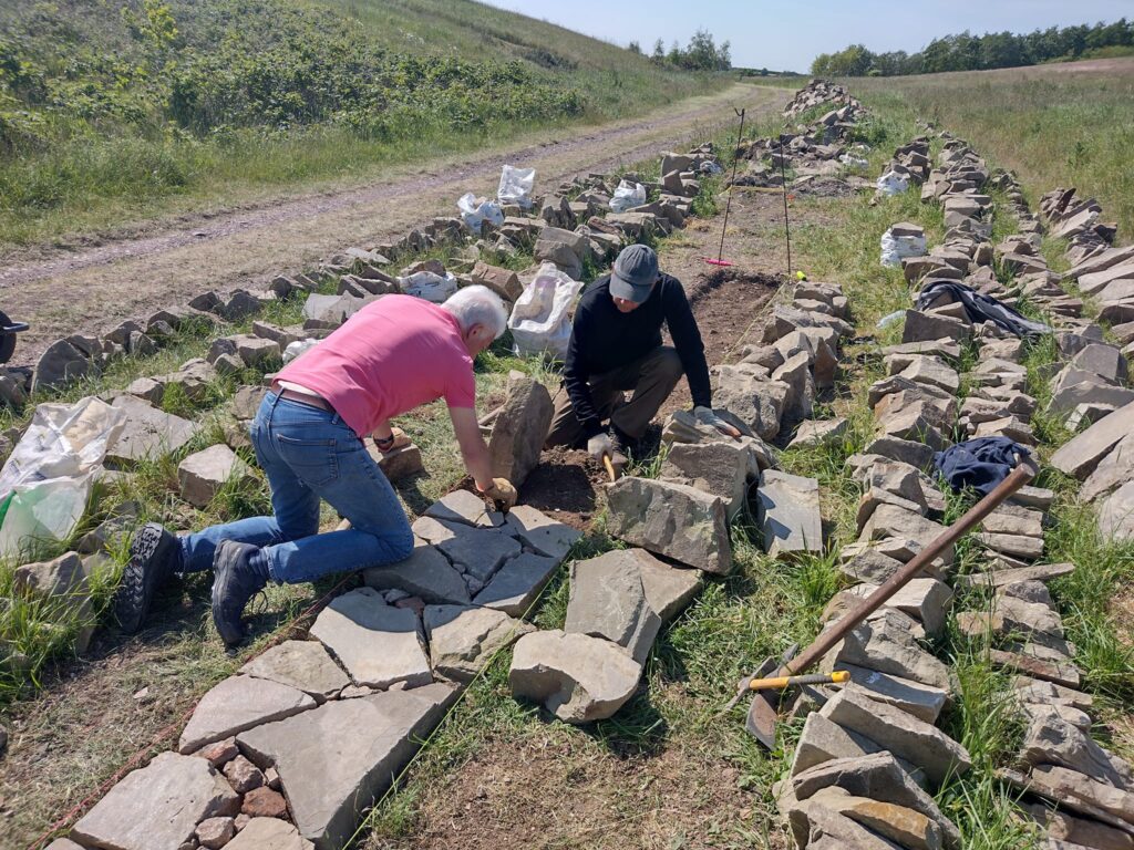 Volunteers building a stone wall