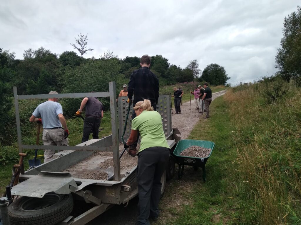 Volunteers helping lay a path