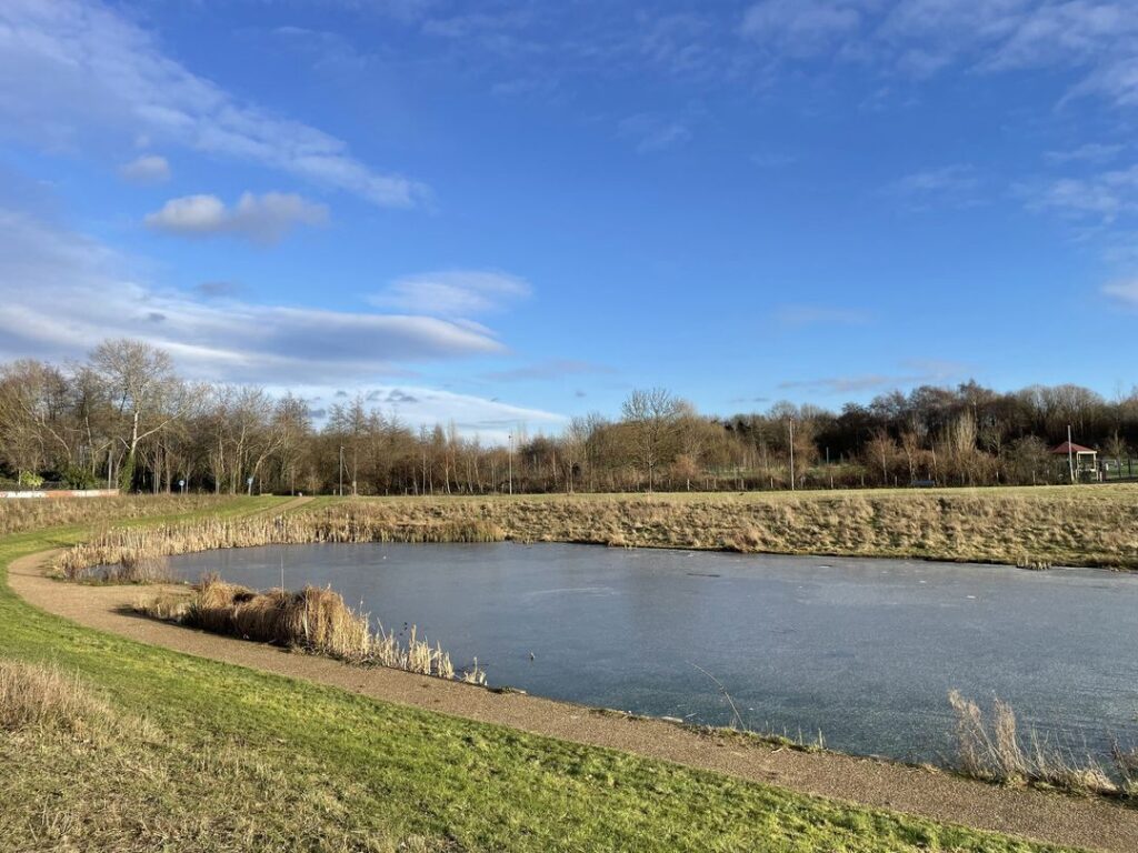 An image of a pond that has been iced over with trees in the background