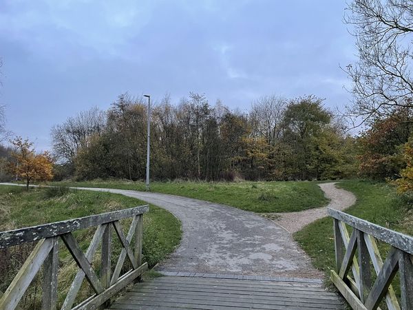 A bridge leading to two paths surrounded by trees and nature