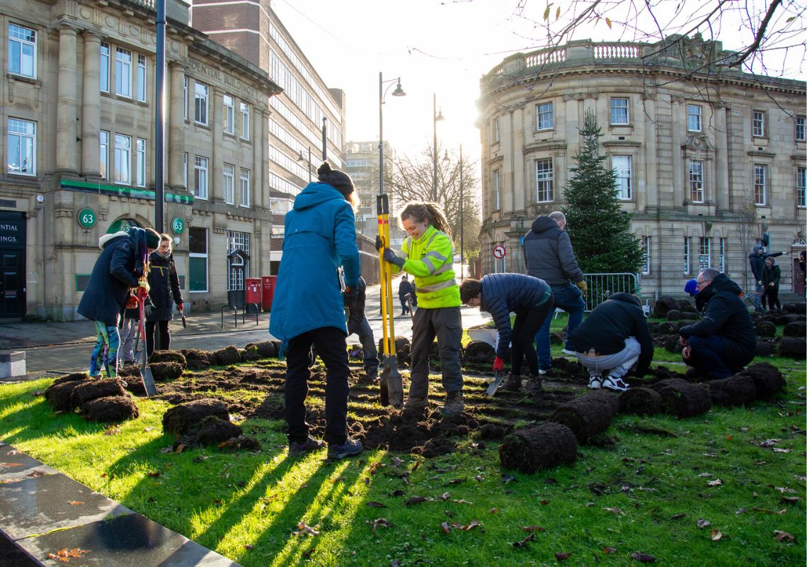 Rewilding Stockport Town Centre