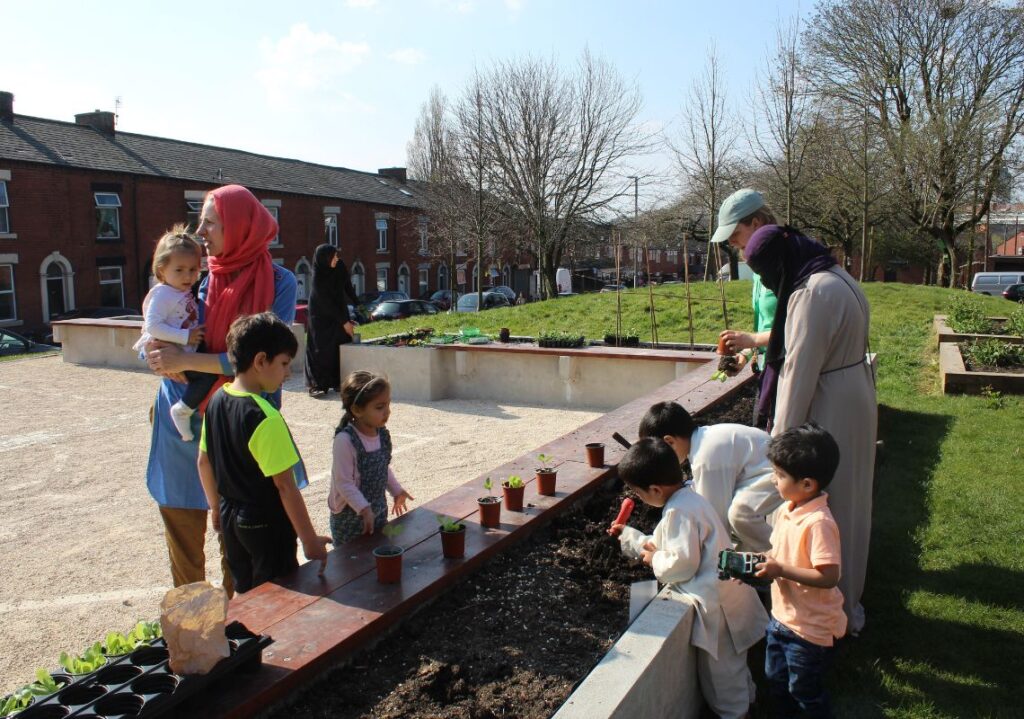 Planting activities at Pitt Street park