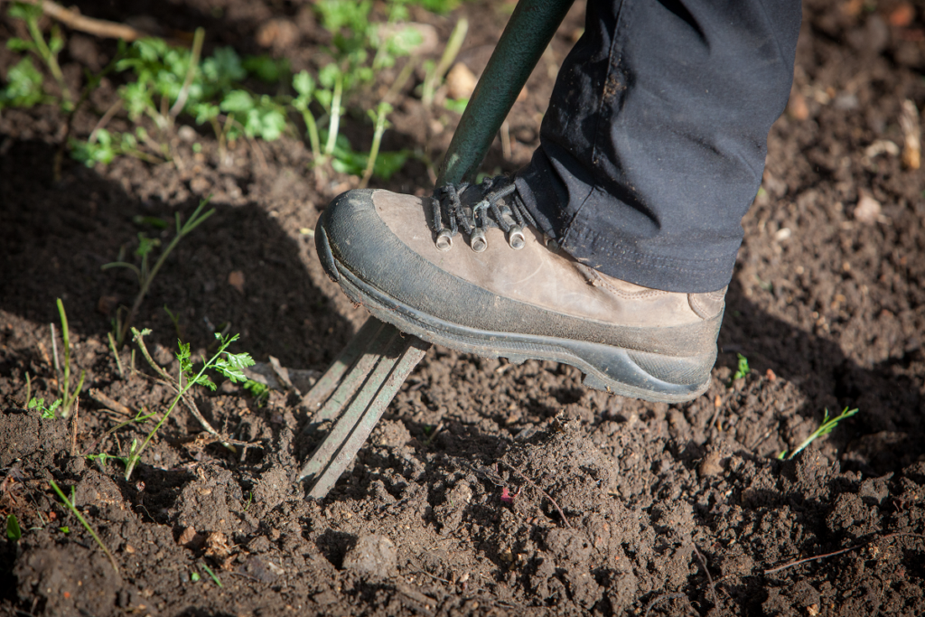 A boot on a gardening fork digging
