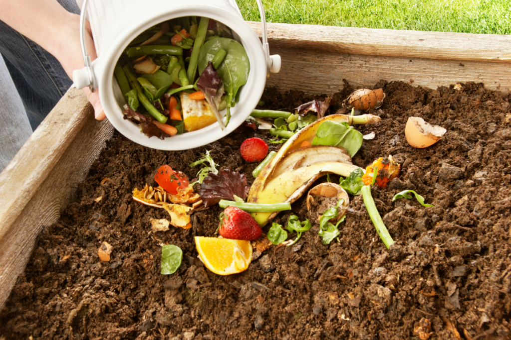 putting veg scraps on a compost pile