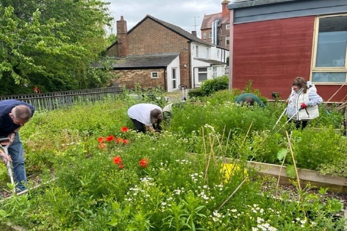 Growing for Wellbeing, free course coming to Leiston