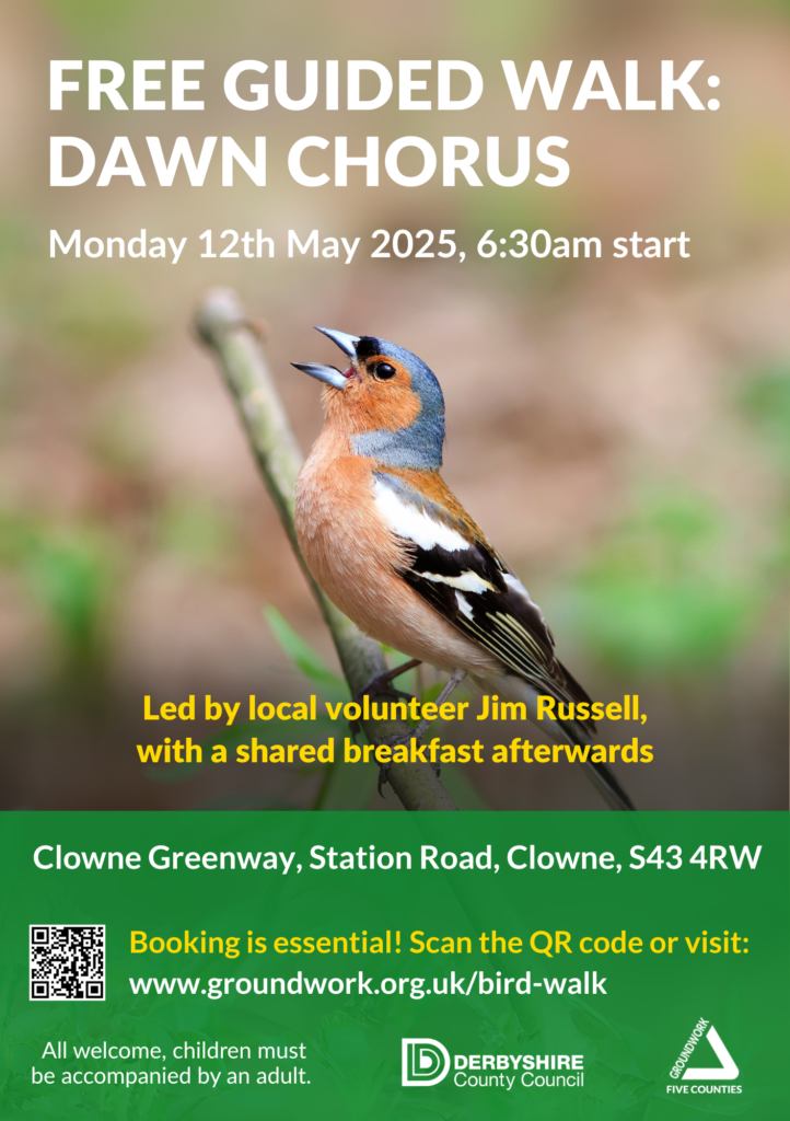 Flyer with photo of bird singing, white text "Free guided walk: dawn chorus, Monday 12th May 2025 6:30am start" and further details in green banner at the bottom.