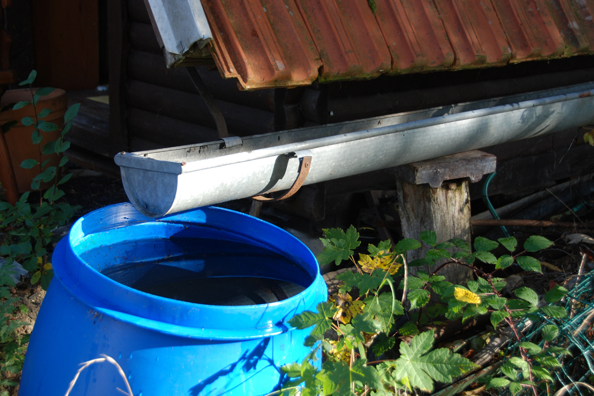 guttering running into a watr butt