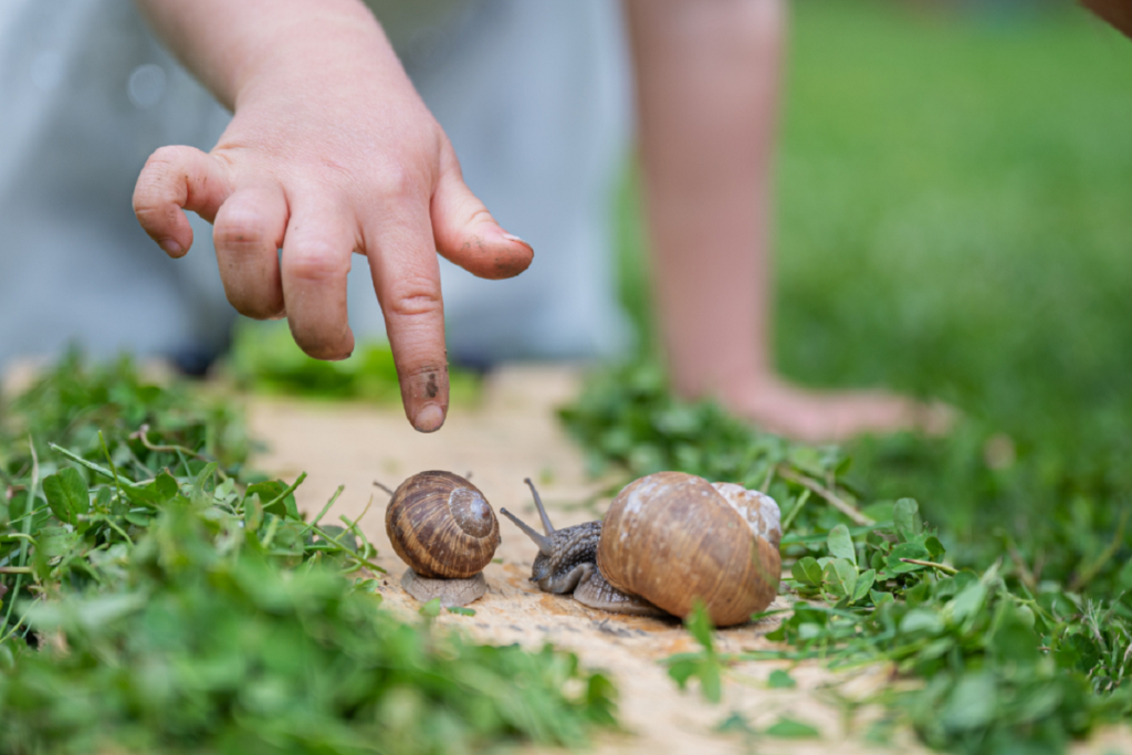 a child pointing out a snail