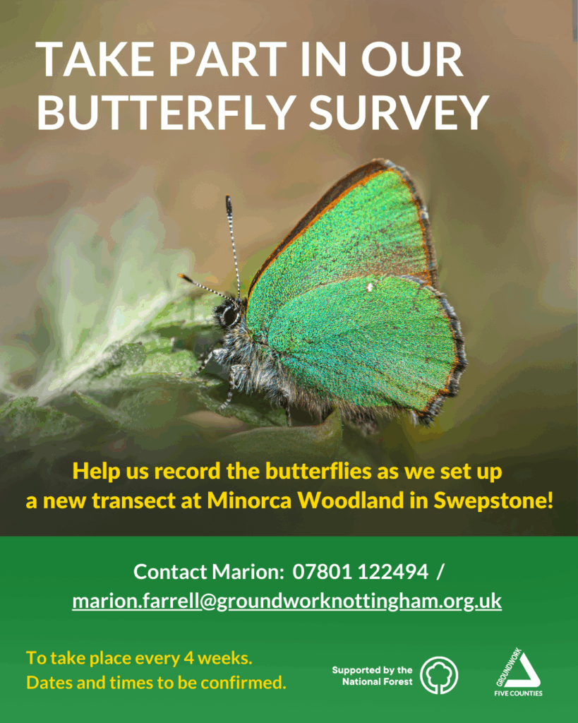 Photo of butterfly with green wings. White text 'take part in our butterfly survey' yellow text 'Help us record the butterflies as we set up a new transect at Minorca Woodland in Swepstone!'. Green banner with white and yellow text and white logos.
