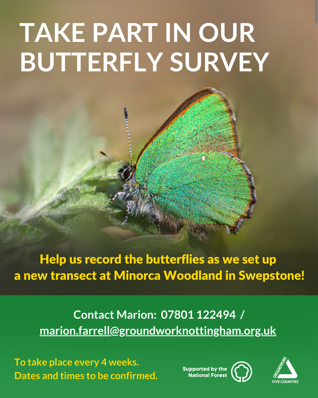 Photo of butterfly with green wings. White text 'take part in our butterfly survey' yellow text 'Help us record the butterflies as we set up a new transect at Minorca Woodland in Swepstone!'. Green banner with white and yellow text and white logos.