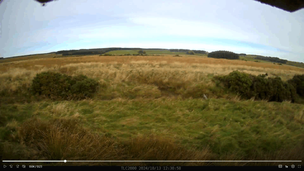 Harwood Burn Timelapse Camera 1 Still 2