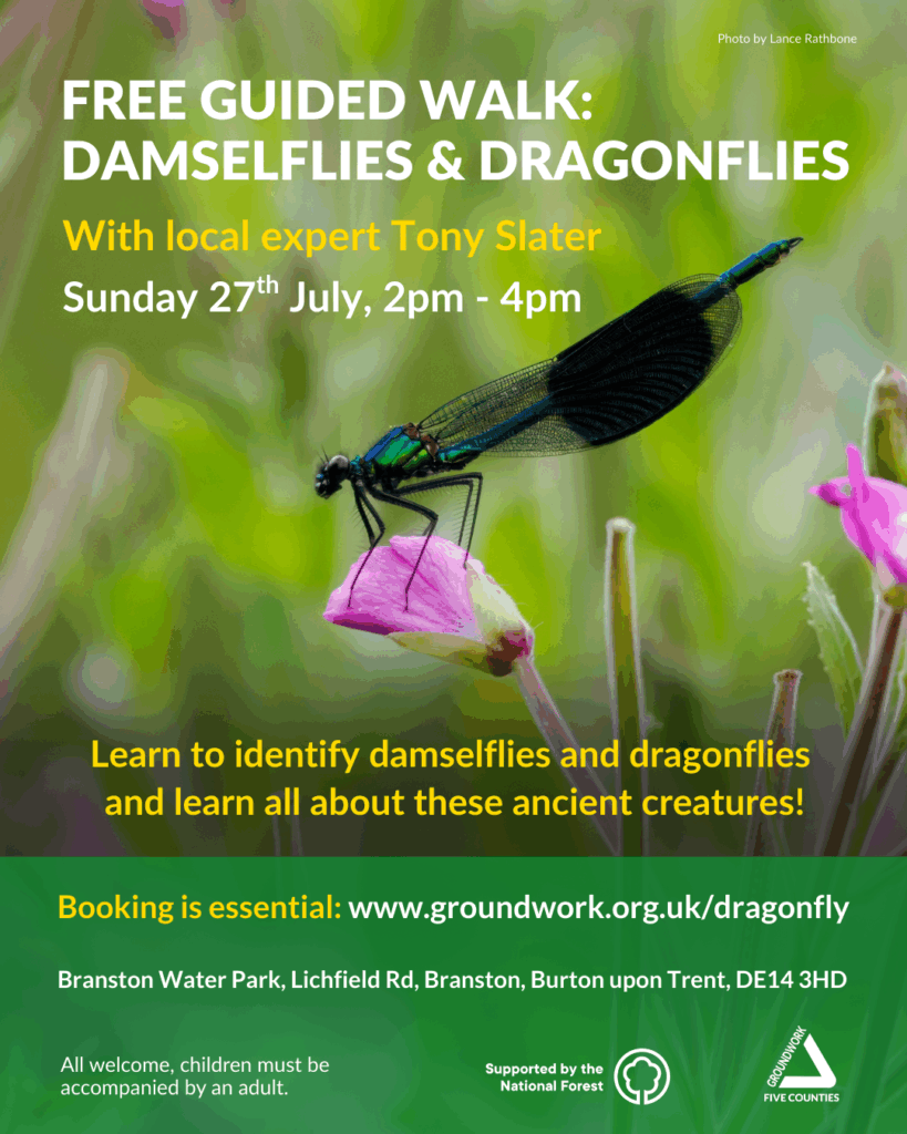 Poster with photo of blue dragonfly with black wings, and white and yellow text. Green banner with white and yellow text and logos