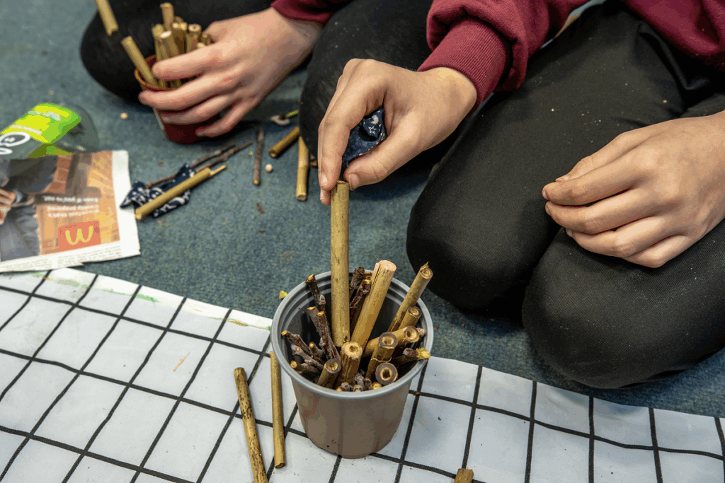 classroom activities