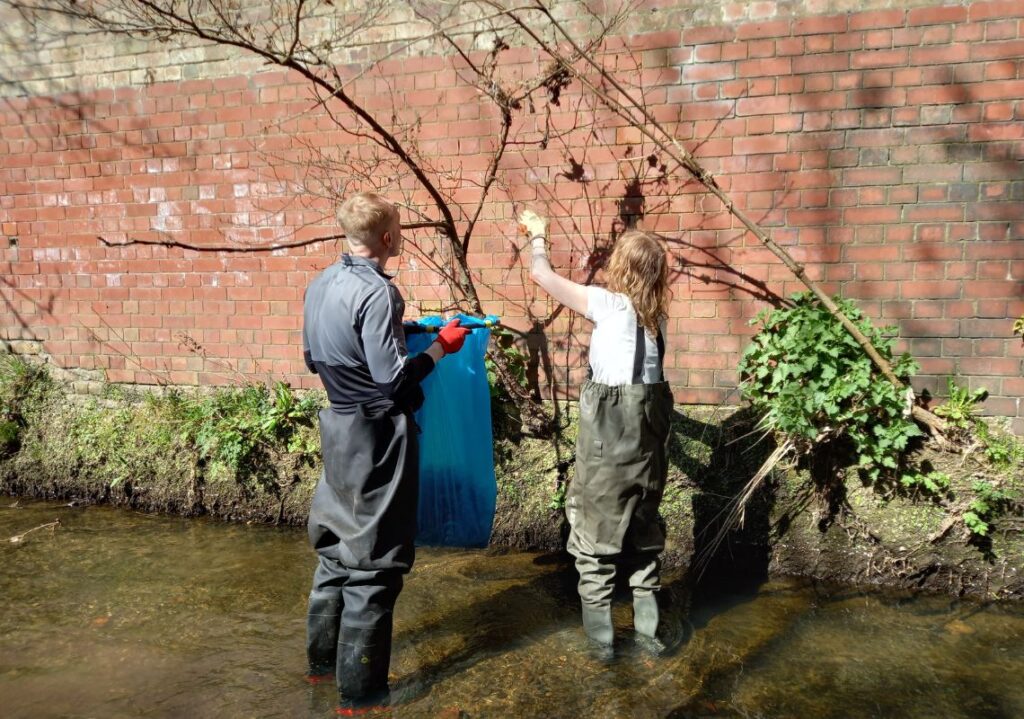 Assisting Friends Groups with clean up tasks