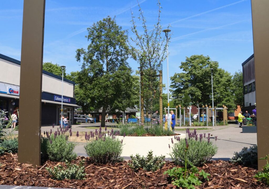 Plants in the memorial garden