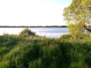 Hornsea Mere