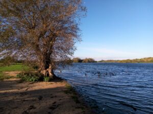 Hornsea Mere