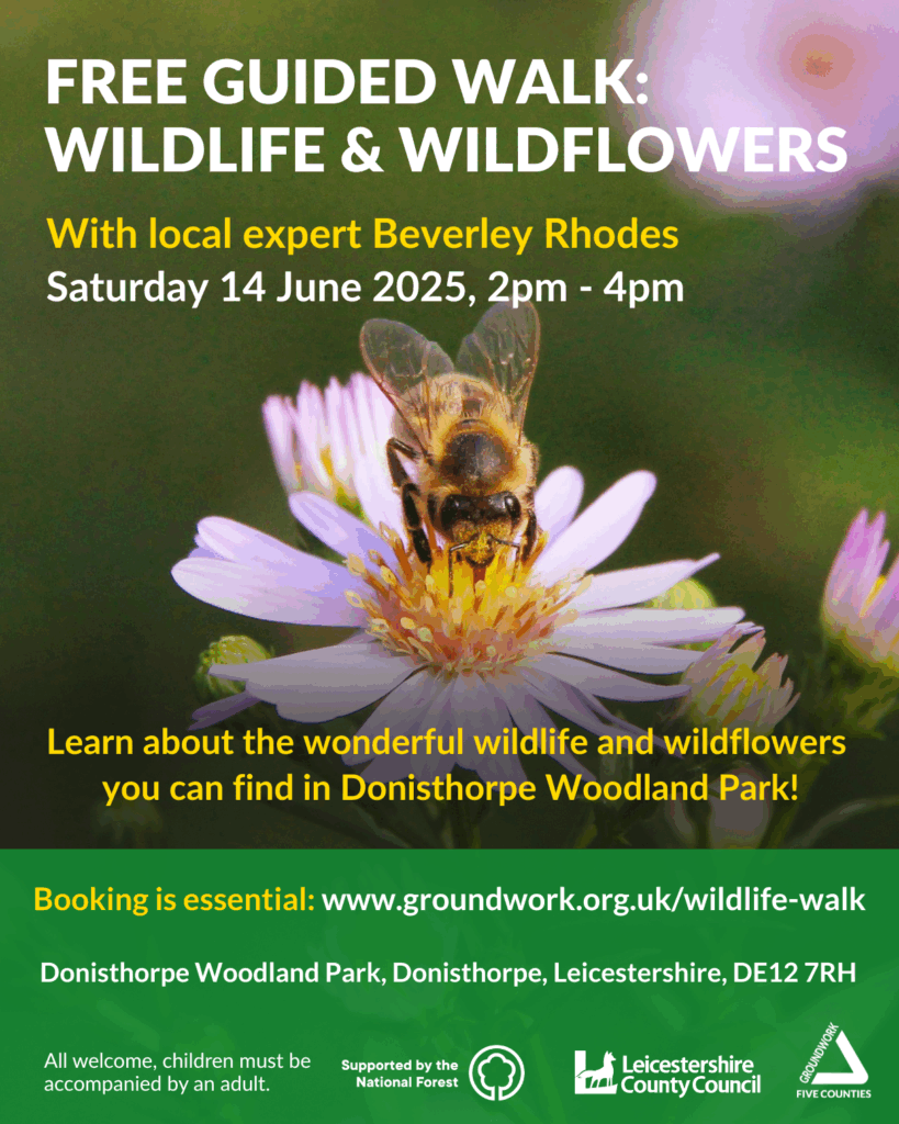 Photo of bee on wildflower, with white and yellow text about a free guided walk in Donisthorpe Woodland Park. Green banner with white logos and address details.