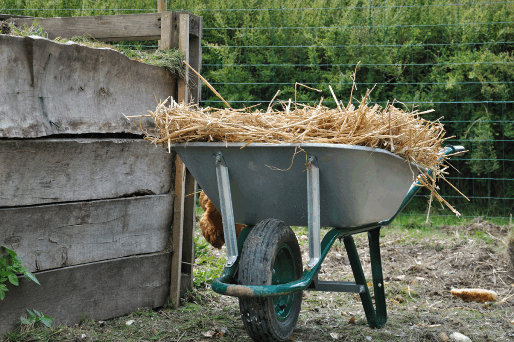 Brown compost