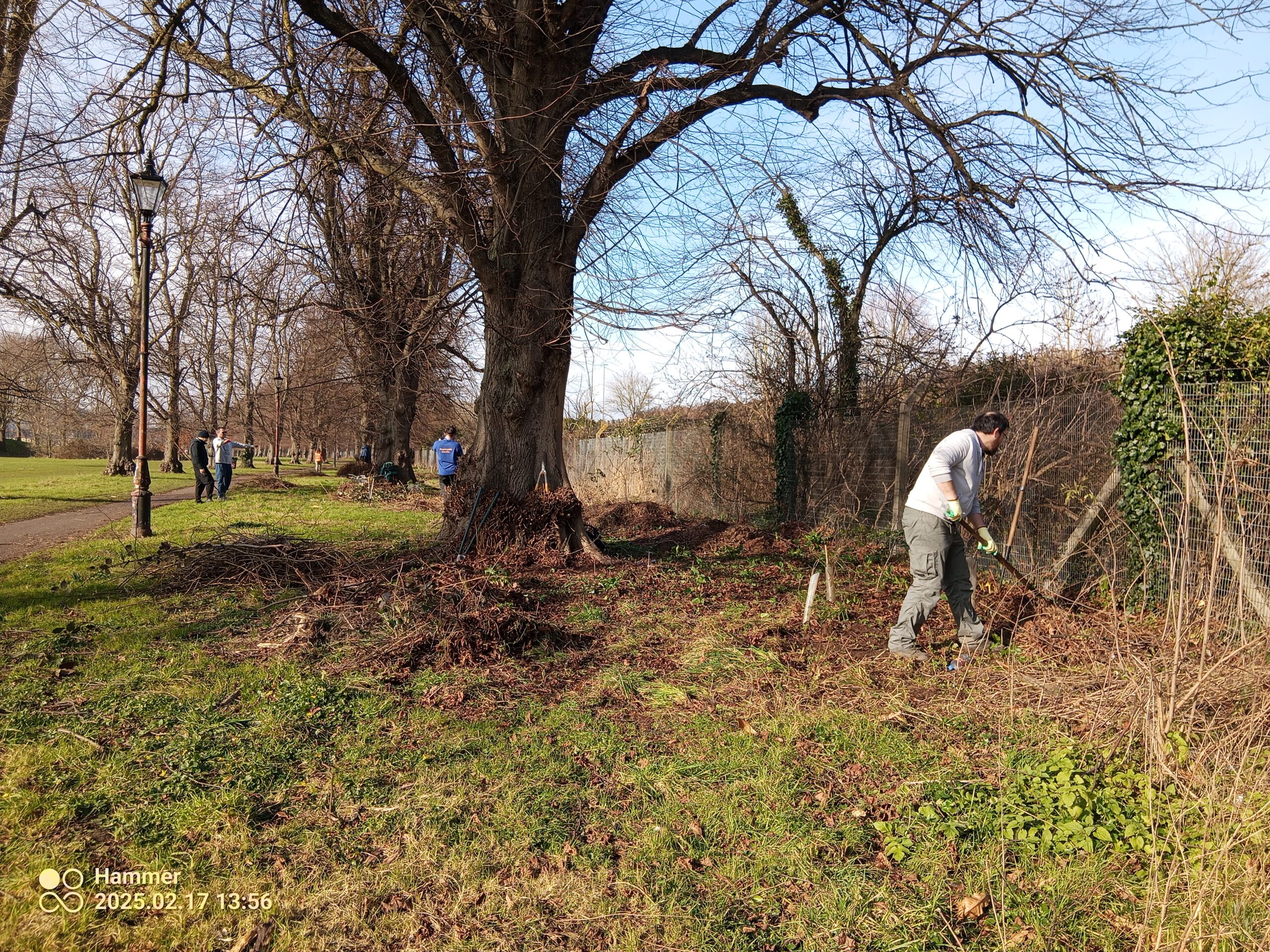 Green Skills Courses in Reading delivered in partnership with REDA: great for participants and the environment
