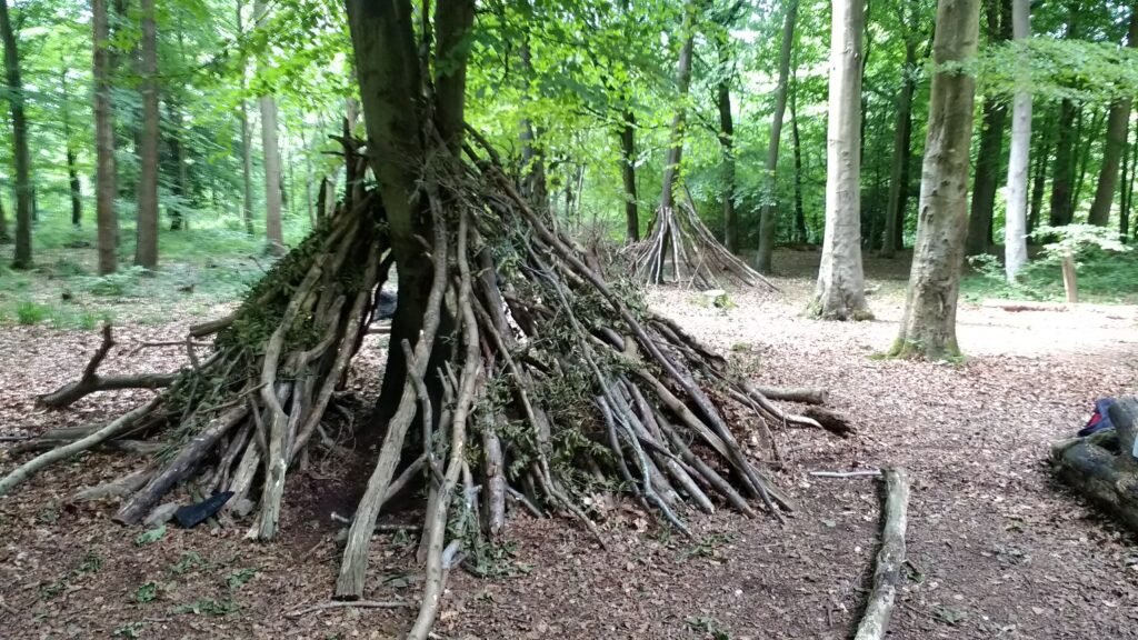 Den building with tree branches