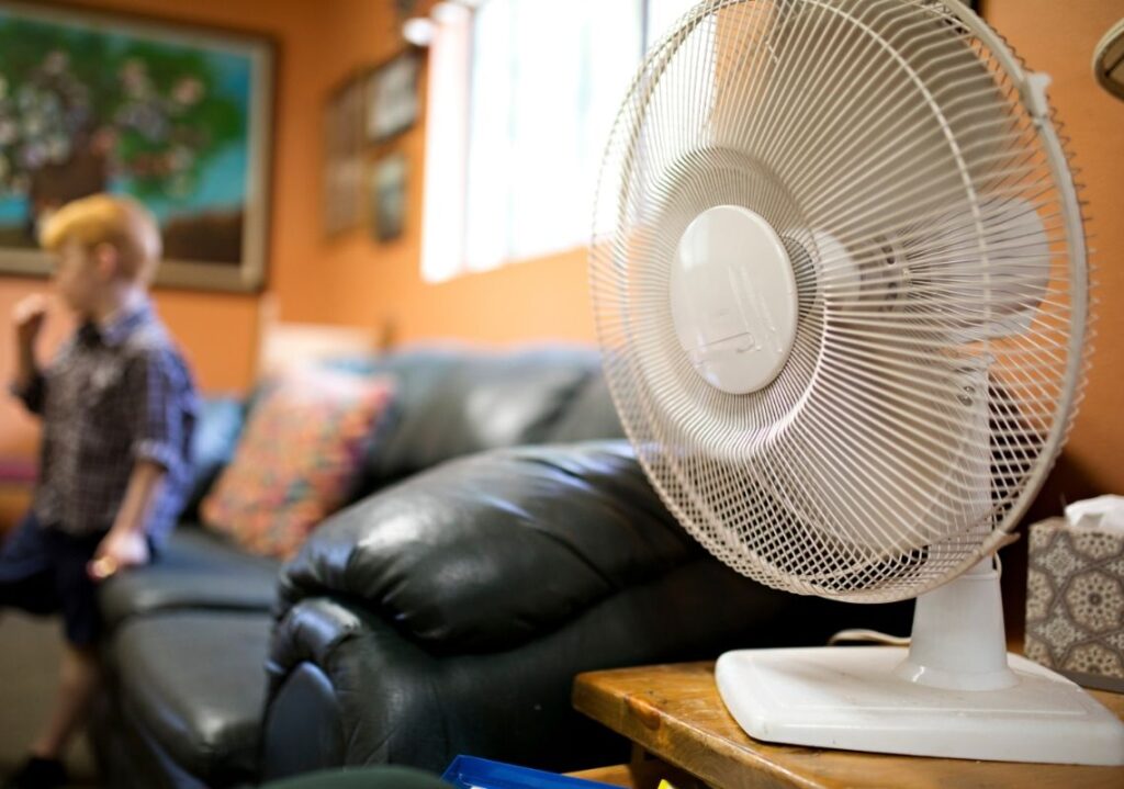 Using electric fans to beat the heat