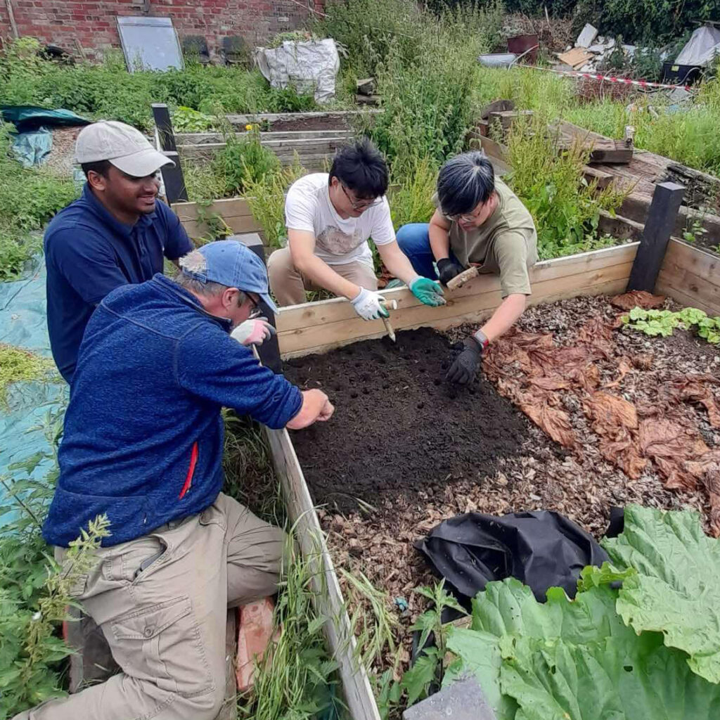 Group of people working on raised bed in allotment space
