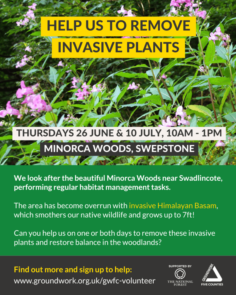 Poster with photo of Himalayan Basam, pink flowers on long green stems. Yellow text "help to remove invasive plants", with further information about the volunteering opportunity in white text inside green box. Black box at the bottom with two white logos and URL.
