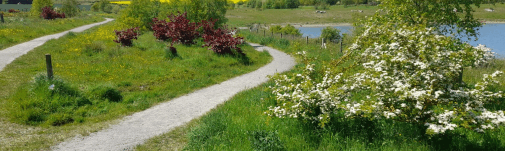 Land management 