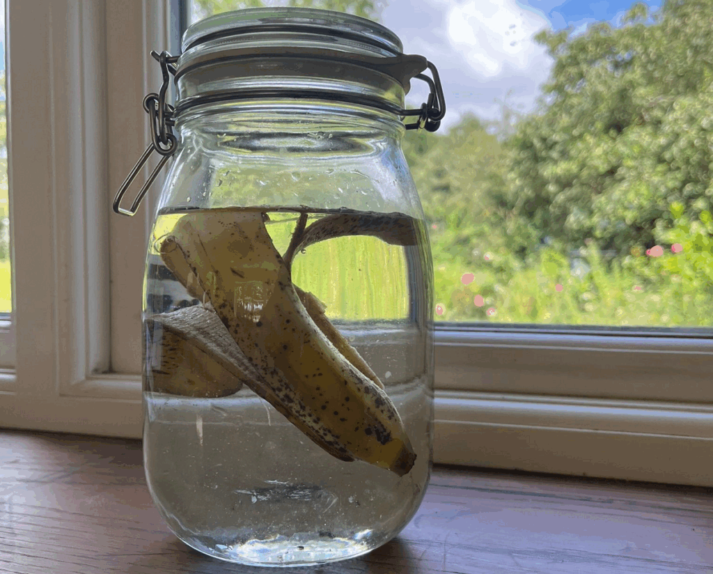 Banana skin in a jar in water on a window sill