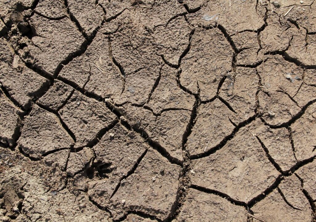 drought effects