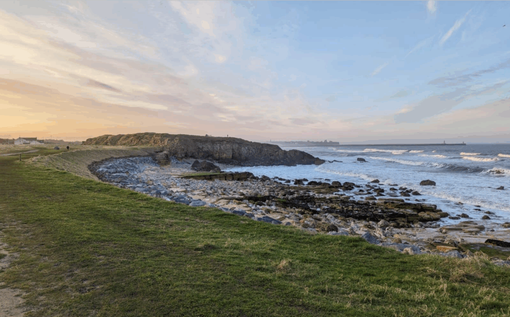 Stronger shores, Nature Based Solutions, south shields coast